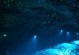 灵山幻境攻略（探索幻境，解开谜团，尽揽珍宝，全方位攻略精要）