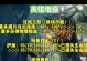 手游奥拉夫教学出装攻略（征战峡谷，奥拉夫助你一臂之力！）