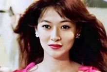 揭秘整蛊专家9攻略29的绝密技巧（轻松突破关卡的关键步骤及技巧解析）