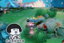 西施打阿轲出装思路攻略（西施如何选择出装来有效对抗阿轲）