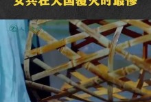 穿越天朝皇帝游戏攻略（用智慧和权谋打造属于你的王朝，一步步登上皇位吧！）