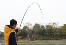 以龙将水圣右护法攻略（闪耀龙都，谱写水之传奇）