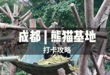 大神黑豹最新版出装攻略大揭秘！（以大神黑豹出装最新版攻略为主题，全面解析黑豹如何称霸战场）