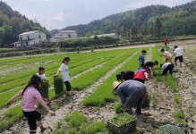 《以农夫很忙》游戏攻略（从小农民到大富翁，全面解锁游戏技巧，挑战经营世界！）
