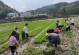 《以农夫很忙》游戏攻略（从小农民到大富翁，全面解锁游戏技巧，挑战经营世界！）