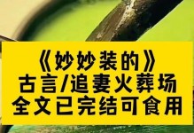《以私知妻貌游戏攻略大揭秘》（透过游戏解锁心灵密码）