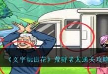 怀旧游戏《文字玩出花》19通关攻略（找回小时候的欢乐，挑战文字游戏极限）