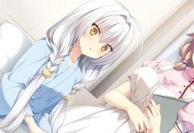 无尽改版下的阿轲出装攻略（重塑刺客之花的利刃利器与装备选择）